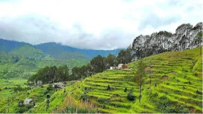 Sonanadi Wildlife Sanctuary